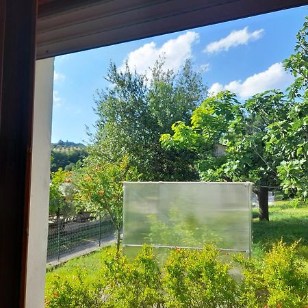 Camping Agriturist Sant'Anna Castelplanio Pokój zdjęcie