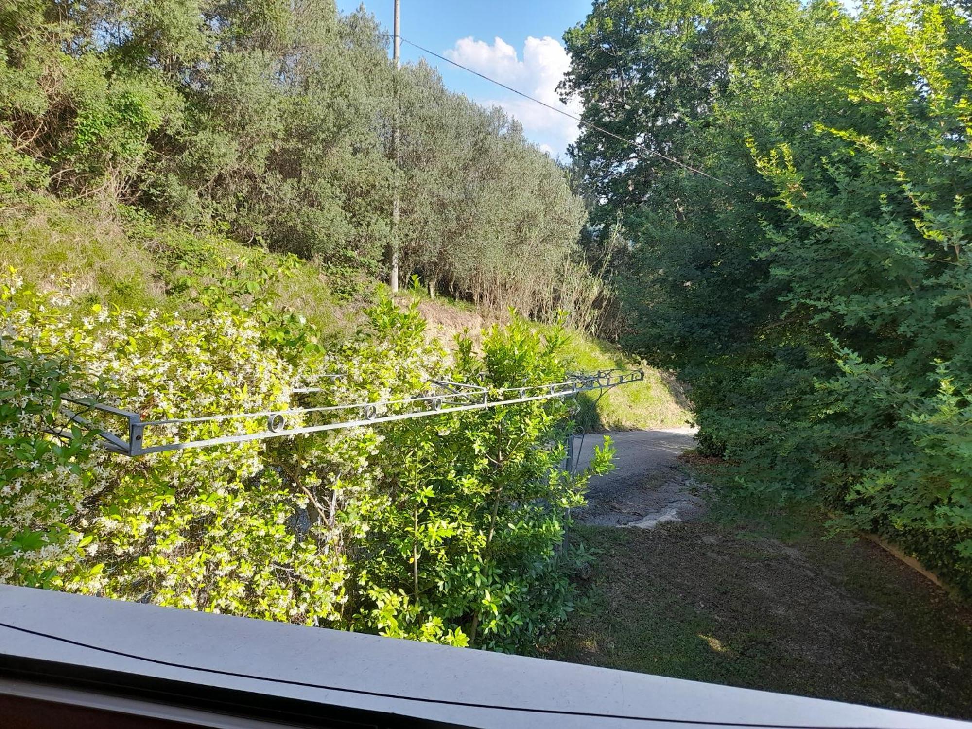 Camping Agriturist Sant'Anna Castelplanio Pokój zdjęcie